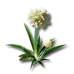 item_plant_grass_1
