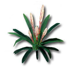 item_plant_grass_2