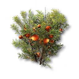 item_plant_moss_1