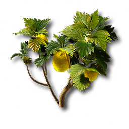 item_plant_moss_2