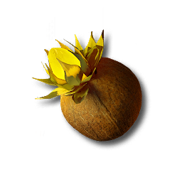 item_plant_moss_seed_3