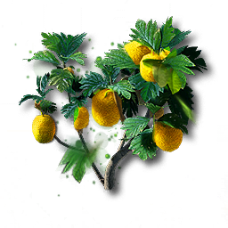 item_plant_moss_spc_2