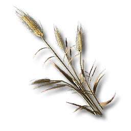 item_plant_sp_1