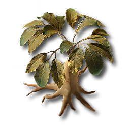 item_plant_sp_3