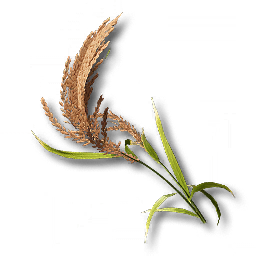 item_plant_sp_4