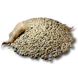 item_plant_sp_seed_3